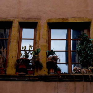 Fenêtres décorées de plantes encadrées par un mur rose - France  - collection de photos clin d'oeil, catégorie rues